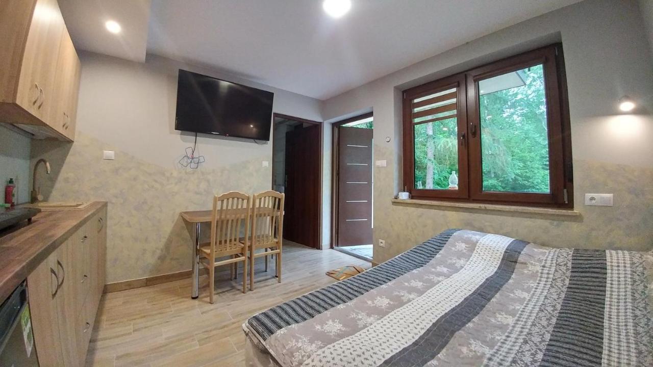 Appartement Cypla Czar à Polańczyk Extérieur photo