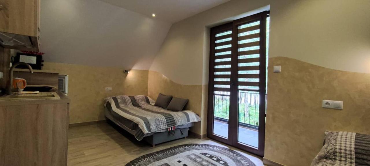 Appartement Cypla Czar à Polańczyk Extérieur photo